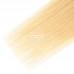 Stema 12A Ombre 613 Brown Root 4x4 Lace Closure Virgin Hair Straight
