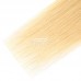 Stema 12A Ombre 613 Brown Root 4x4 Lace Closure Virgin Hair Straight