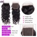 Stema Hair HD 4X4 5X5 6X6 7X7 Lace Closure Water Wave Virgin Hair