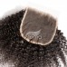 Stema Hair HD 4X4 5X5 6X6 7X7  Lace Closure Kinky Curly Virgin Hair