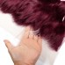 Stema #99J Body Wave 13x4 Transparent Lace Frontal Virgin Hair
