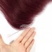 Stema #99J Straight 13x4 Transparent Lace Frontal Virgin Hair