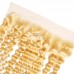 Stema Hair 613 Blonde Color 13x4 Lace Frontal Deep Wave Virgin Hair
