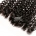 Stema Hair 13x4 13x6 HD Lace Frontal Kinky Curly Virgin Hair