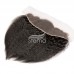 Stema Hair Kinky Straight 13x4 13x6 Transparent Lace Frontal 