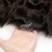 Stema Hair 13x4 13x6 HD Lace Frontal Loose Wave Virgin Hair
