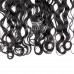 Stema Hair 13x4 Swiss Lace Frontal Water Wave Virgin Hair