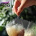 Stema 613 Blonde 13x4 13x6 HD Lace Frontal Body Wave Virgin Hair