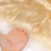 Stema 613 Blonde 13x4 13x6 HD Lace Frontal Body Wave Virgin Hair