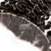 Stema Hair Transparent Lace 13x4 13x6 Water Wave Frontal Virgin Hair