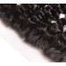 Stema Hair 13x4 HD/Transparent/ Medium Brown Lace Frontal Water Wave Virgin Hair