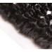 Stema Hair 13x4 13x6 HD Lace Frontal Water Wave Virgin Hair