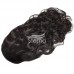 Stema Body Wave Drawstring Ponytail With Clips 100% Human Hair Extensions