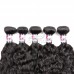 Stema Hair 1/3/4 pcs Water Wave Bundles Virgin Hair