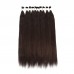 Stema 1kg(10pcs) Wholesale Deals #2 Brown Raw Hair Bulk Natural Straight Hair Extensions For Braid