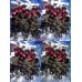 Graduation Season Package Deals 9A Quality 100% Human Hair Bundle Deals