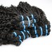 Stema Double Drawn Curly Virgin Human Hair Bundle