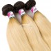 Stema Ombre 1B/613 Blonde Virgin Straight Bundles 1/3/4 pcs