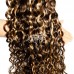 Stema Highlight #4/27 1/3/4 pcs Virgin Water Wave Bundles