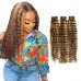 Stema Highlight #4/27 1/3/4 pcs Virgin Deep Wave Bundles