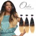 Black and Blonde #613 Virgin Straight Hair Weave Ombre Hair