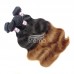 T1B/30 Ombre Color Hair Body Wave Weave Hair