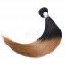 Stema 1B/30 Ombre Color Straight Raw Hair Bundles