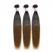 Stema Hair #1b/30 Ombre Brown Raw Virgin Brazilian Hair Straight Bundles