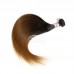 Stema Hair #1b/30 Ombre Brown Raw Virgin Brazilian Hair Straight Bundles