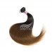 Stema Hair #1b/30 Ombre Brown Raw Virgin Brazilian Hair Straight Bundles