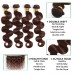 Stema Hair #4 Brown Color Body Wave Raw Virgin Hair Bundles