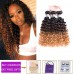 T1B/4/30 Ombre Color Hair Deep Wave Virgin Hair Bundles