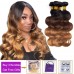 T1B/4/30 Ombre Color Hair Body Wave Virgin Hair Bundles