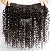 Stema Hair 1/3/4 pcs Kinky Curly Virgin Hair Bundles