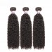 Stema Hair 1/3/4 pcs Kinky Curly Virgin Hair Bundles