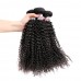Stema Hair 1/3/4 pcs Kinky Curly Virgin Hair Bundles