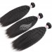 Stema Hair 1/3/4/ pcs Kinky Straight Virgin Hair Bundles