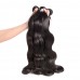 Stema Body Wave Virgin Hair With 5x5 HD Lace Closure