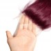 #99J Virgin Hair Straight Bundles With 4x4 Transparent Lace Closure