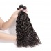 Stema Virgin Water Wave Hair With 5x5 HD & Transparent Lace Closure