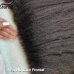 Stema Virgin Kinky Straight Hair With 13x4 HD & Transparent Lace Frontal