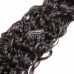 Virgin Water Wave Hair Bundles With 13X4 HD Lace & Transparent Lace