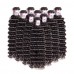 Virgin Deep Wave Hair Bundles With 13X4 HD Lace & Transparent Lace