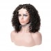 Stema Double Drawn Pissy Curly 4x4 Lace Closure Wig 250%
