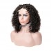 Stema Double Drawn Pissy Curly 4x4 Lace Closure Wig 250%