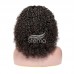 Stema Double Drawn Pissy Curly 4x4 Lace Closure Wig 250%