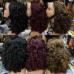 Stema #4 #33 #99j #4/30 Double Drawn Fumi Bouncy 13x4 Transparent Lace Frontal Wig 250% Density