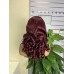 Stema #1b/99j Double Drawn Bouncy Curl 13x4 Transparent Lace Frontal Wig 250% Density
