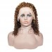 Stema #4/27 highlight 13x4 Lace Front Curly Bob Wig