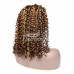 Stema #4/27 highlight 13x4 Lace Front Curly Bob Wig